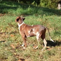 processed/2dd55893-0193-4966-9b86-e150981a06d0/listing/484b975b-2556-442f-8ecf-b835bc4d713f/1ee885be-2178-4cb8-9d6f-b77b5bfd7138