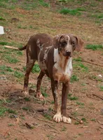 processed/2dd55893-0193-4966-9b86-e150981a06d0/listing/484b975b-2556-442f-8ecf-b835bc4d713f/40418e2e-dc52-44c9-97a7-7befe396bd3c