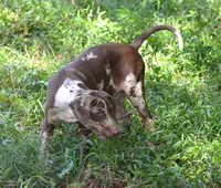 processed/2dd55893-0193-4966-9b86-e150981a06d0/listing/484b975b-2556-442f-8ecf-b835bc4d713f/56c12d54-4496-42e3-b969-3a7d7317572c