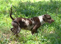 processed/2dd55893-0193-4966-9b86-e150981a06d0/listing/484b975b-2556-442f-8ecf-b835bc4d713f/6a4681ee-9e46-4565-aec7-ca036256621e