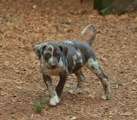 processed/2dd55893-0193-4966-9b86-e150981a06d0/listing/484b975b-2556-442f-8ecf-b835bc4d713f/7376fa5b-e7a6-4d62-9603-0969a83bcb6a