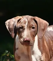 processed/2dd55893-0193-4966-9b86-e150981a06d0/listing/484b975b-2556-442f-8ecf-b835bc4d713f/89f11a4e-1347-4837-97f5-0e79ce503e83