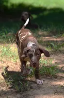 processed/2dd55893-0193-4966-9b86-e150981a06d0/listing/484b975b-2556-442f-8ecf-b835bc4d713f/d6151238-3da0-40e7-905f-2c393006981d