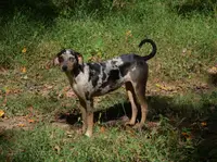 processed/2dd55893-0193-4966-9b86-e150981a06d0/listing/7e6af6e1-3b2f-49be-804d-b28c03a708ab/267399e8-507d-4c7f-be39-3b1b76d95dc0