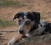 processed/2dd55893-0193-4966-9b86-e150981a06d0/listing/7e6af6e1-3b2f-49be-804d-b28c03a708ab/30e730c9-71e4-4b84-9606-c11dcb8988f2