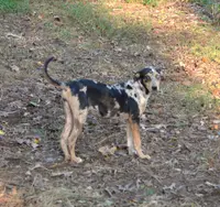 processed/2dd55893-0193-4966-9b86-e150981a06d0/listing/7e6af6e1-3b2f-49be-804d-b28c03a708ab/b2663a4c-aa0f-4a9c-9416-eaa9212b3691