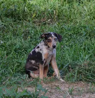 processed/2dd55893-0193-4966-9b86-e150981a06d0/listing/7e6af6e1-3b2f-49be-804d-b28c03a708ab/bd8753f3-6815-45f6-8b2a-034d3e100a2e