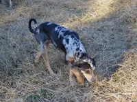 processed/2dd55893-0193-4966-9b86-e150981a06d0/listing/7e6af6e1-3b2f-49be-804d-b28c03a708ab/cabb18bb-6386-42a1-8c10-48207994a80c