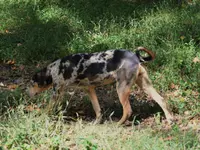 processed/2dd55893-0193-4966-9b86-e150981a06d0/listing/7e6af6e1-3b2f-49be-804d-b28c03a708ab/cb87fa39-52ac-4e3c-a0be-f8d8f95387ee