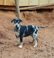 processed/2dd55893-0193-4966-9b86-e150981a06d0/listing/8a2d5485-cf08-4e22-81f1-e03bb4ca6d6a/271b584c-d416-418e-a5ce-77249515fd68