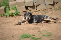 processed/2dd55893-0193-4966-9b86-e150981a06d0/listing/8a2d5485-cf08-4e22-81f1-e03bb4ca6d6a/3956fd8f-187d-432e-b24c-3100b1c430d8