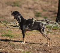 processed/2dd55893-0193-4966-9b86-e150981a06d0/listing/8a2d5485-cf08-4e22-81f1-e03bb4ca6d6a/78851592-eb5f-468b-ae06-01cbee793f44