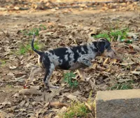 processed/2dd55893-0193-4966-9b86-e150981a06d0/listing/8a2d5485-cf08-4e22-81f1-e03bb4ca6d6a/8614e54f-57bb-4606-8368-001fcddaddac