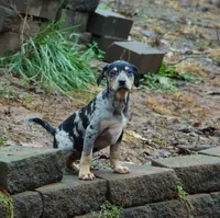 processed/2dd55893-0193-4966-9b86-e150981a06d0/listing/8a2d5485-cf08-4e22-81f1-e03bb4ca6d6a/a3ee5b21-bcbd-4c4a-8361-b507b44b8922