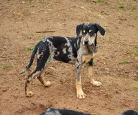 processed/2dd55893-0193-4966-9b86-e150981a06d0/listing/8a2d5485-cf08-4e22-81f1-e03bb4ca6d6a/dba100a6-5c2b-4b1e-a576-1d22d9afc050