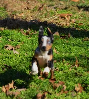 processed/2dd55893-0193-4966-9b86-e150981a06d0/listing/93c28d26-bc9f-4704-9caa-a1d66cf1a7bd/0855805a-6365-48aa-a60e-78616a830555