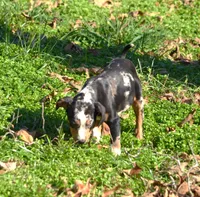 processed/2dd55893-0193-4966-9b86-e150981a06d0/listing/93c28d26-bc9f-4704-9caa-a1d66cf1a7bd/1a0c7084-800b-4cc9-84f8-10d8507aa924