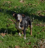 processed/2dd55893-0193-4966-9b86-e150981a06d0/listing/93c28d26-bc9f-4704-9caa-a1d66cf1a7bd/83cdbe7c-12c6-4f16-a074-2073e6476810