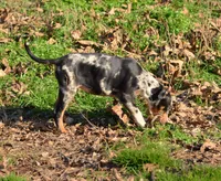 processed/2dd55893-0193-4966-9b86-e150981a06d0/listing/93c28d26-bc9f-4704-9caa-a1d66cf1a7bd/a2faf272-eba6-41c4-bbf5-efe6c7835c3a