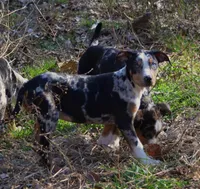 processed/2dd55893-0193-4966-9b86-e150981a06d0/listing/93c28d26-bc9f-4704-9caa-a1d66cf1a7bd/d061cee3-7e06-4336-a849-feacf51d4c7d