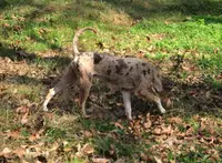 processed/2dd55893-0193-4966-9b86-e150981a06d0/listing/99c24fad-5093-4d6f-8b98-fc686581eaaf/18a19755-9dcf-4f88-a59a-831350ba29d8