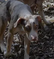 processed/2dd55893-0193-4966-9b86-e150981a06d0/listing/99c24fad-5093-4d6f-8b98-fc686581eaaf/2b788c70-2afc-48f6-a3e4-bb25d7a7c70f