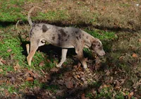 processed/2dd55893-0193-4966-9b86-e150981a06d0/listing/99c24fad-5093-4d6f-8b98-fc686581eaaf/45869df1-fdca-4e9e-982f-3975dba88579