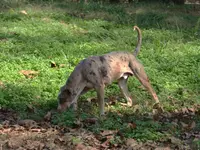 processed/2dd55893-0193-4966-9b86-e150981a06d0/listing/99c24fad-5093-4d6f-8b98-fc686581eaaf/4893421f-f66d-49db-bcbc-1054fdf23aef