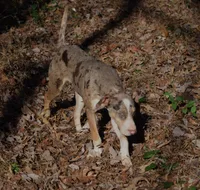 processed/2dd55893-0193-4966-9b86-e150981a06d0/listing/99c24fad-5093-4d6f-8b98-fc686581eaaf/53226494-da50-49ab-8e32-f33658870de6