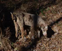 processed/2dd55893-0193-4966-9b86-e150981a06d0/listing/99c24fad-5093-4d6f-8b98-fc686581eaaf/62c88b6b-23b0-43ff-904a-0ab78760f858