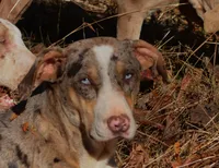 processed/2dd55893-0193-4966-9b86-e150981a06d0/listing/99c24fad-5093-4d6f-8b98-fc686581eaaf/7a962bab-bd97-474c-9e84-93a2b65f6d18