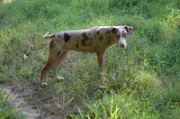 processed/2dd55893-0193-4966-9b86-e150981a06d0/listing/99c24fad-5093-4d6f-8b98-fc686581eaaf/a2ea7478-1af1-4dc9-a641-879e262f6d36