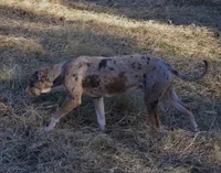 processed/2dd55893-0193-4966-9b86-e150981a06d0/listing/99c24fad-5093-4d6f-8b98-fc686581eaaf/a8e04cf2-df9d-467a-8baa-a24facabefdb