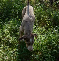 processed/2dd55893-0193-4966-9b86-e150981a06d0/listing/99c24fad-5093-4d6f-8b98-fc686581eaaf/c6051c85-2d62-44ee-8a41-49ef90503350