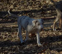 processed/2dd55893-0193-4966-9b86-e150981a06d0/listing/a231f201-39d1-4029-9c7f-e48cadcf2952/09c18c3e-ed7b-4aa9-888a-bfd1c80255b7