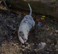 processed/2dd55893-0193-4966-9b86-e150981a06d0/listing/a231f201-39d1-4029-9c7f-e48cadcf2952/1795879b-0762-4b93-a26f-5f82cbd1cc76