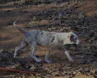 processed/2dd55893-0193-4966-9b86-e150981a06d0/listing/a231f201-39d1-4029-9c7f-e48cadcf2952/2487b8ef-57c9-4e51-aac5-b0f6dadbccad