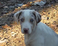 processed/2dd55893-0193-4966-9b86-e150981a06d0/listing/a231f201-39d1-4029-9c7f-e48cadcf2952/327e582e-7756-49b4-8207-397d876941f3