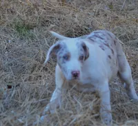 processed/2dd55893-0193-4966-9b86-e150981a06d0/listing/a231f201-39d1-4029-9c7f-e48cadcf2952/51592b70-e156-48c7-b41c-26d104c1a3b0