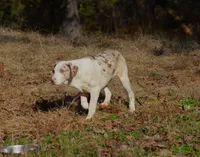 processed/2dd55893-0193-4966-9b86-e150981a06d0/listing/a231f201-39d1-4029-9c7f-e48cadcf2952/cdd87b12-c2e2-4d3b-a917-d49c4ffbacca