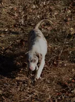 processed/2dd55893-0193-4966-9b86-e150981a06d0/listing/a231f201-39d1-4029-9c7f-e48cadcf2952/db01c21a-312a-4003-b23d-08354569ffae