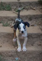 processed/2dd55893-0193-4966-9b86-e150981a06d0/listing/ac1adf54-d96c-4124-92d4-827debccb57f/23560603-a0df-4820-91d9-954b3d84dcae