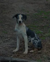 processed/2dd55893-0193-4966-9b86-e150981a06d0/listing/ac1adf54-d96c-4124-92d4-827debccb57f/34275c6d-ef98-4fff-b313-3130f42b7129