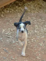 processed/2dd55893-0193-4966-9b86-e150981a06d0/listing/ac1adf54-d96c-4124-92d4-827debccb57f/3e3af27d-5df4-44d2-93e4-97480a4e9d37