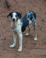 processed/2dd55893-0193-4966-9b86-e150981a06d0/listing/ac1adf54-d96c-4124-92d4-827debccb57f/519fd21a-1a4f-41f6-a991-714d0f820e34