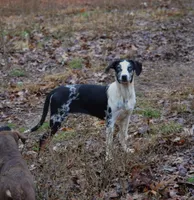 processed/2dd55893-0193-4966-9b86-e150981a06d0/listing/ac1adf54-d96c-4124-92d4-827debccb57f/a6c5394d-16b8-4579-ace1-de8b94f6ea9e