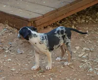 processed/2dd55893-0193-4966-9b86-e150981a06d0/listing/ac1adf54-d96c-4124-92d4-827debccb57f/f256d555-5f19-464b-921f-977c6b6e0d6b