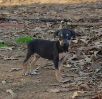 processed/2dd55893-0193-4966-9b86-e150981a06d0/listing/bc481efd-469e-4c17-89f6-d333807e5ad3/0ed73512-801e-4005-a2a4-7abd2aac7025