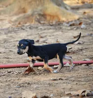 processed/2dd55893-0193-4966-9b86-e150981a06d0/listing/bc481efd-469e-4c17-89f6-d333807e5ad3/1bb88936-f256-4f81-a534-fad945048c64