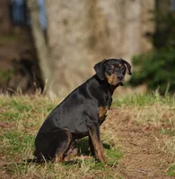 processed/2dd55893-0193-4966-9b86-e150981a06d0/listing/bc481efd-469e-4c17-89f6-d333807e5ad3/8386a4f7-fe32-4405-ad63-65e16506b645